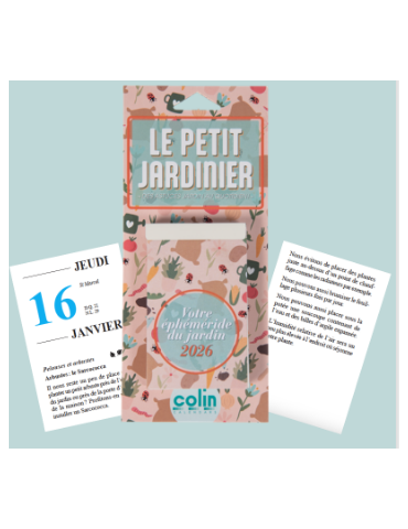 GRAND FARCEUR NEERLANDAIS£