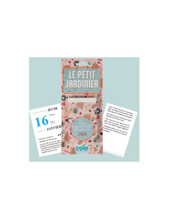 GRAND FARCEUR NEERLANDAIS£