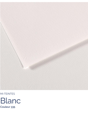 FEUILLE   MI-TEINTES®  50x65 160G  BLANC 335