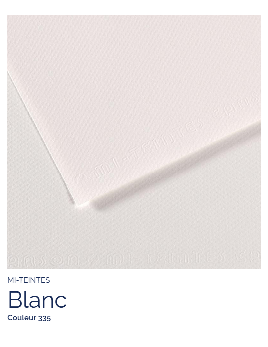 FEUILLE   MI-TEINTES®  50x65 160G  BLANC 335