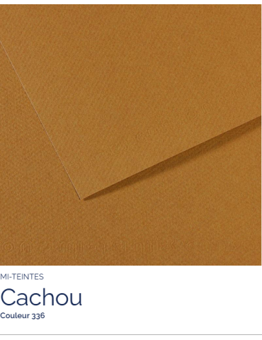 FL   MI-TEINTES®  50x65 160G  CACHOU   336