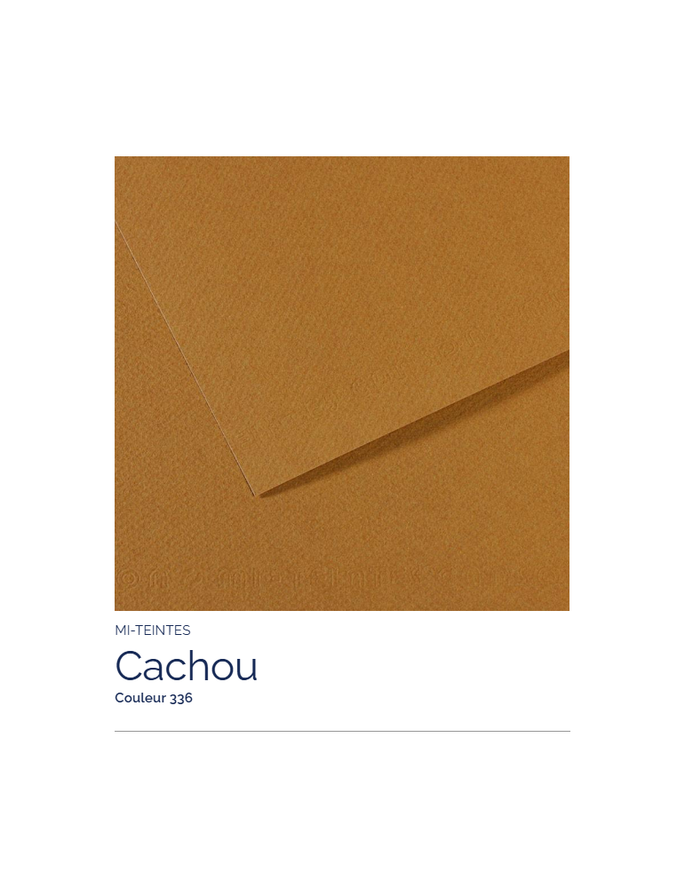FL   MI-TEINTES®  50x65 160G  CACHOU   336