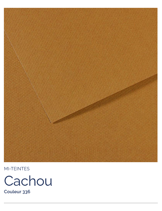 FL   MI-TEINTES®  50x65 160G  CACHOU   336