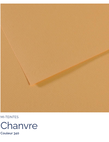 FL   MI-TEINTES®  50X65 160G  CHANVRE CLAIR  340