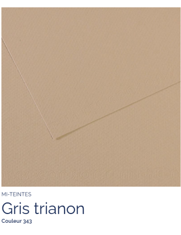 FL   MI-TEINTES®  50x65 160G  GRIS TRIANON  343