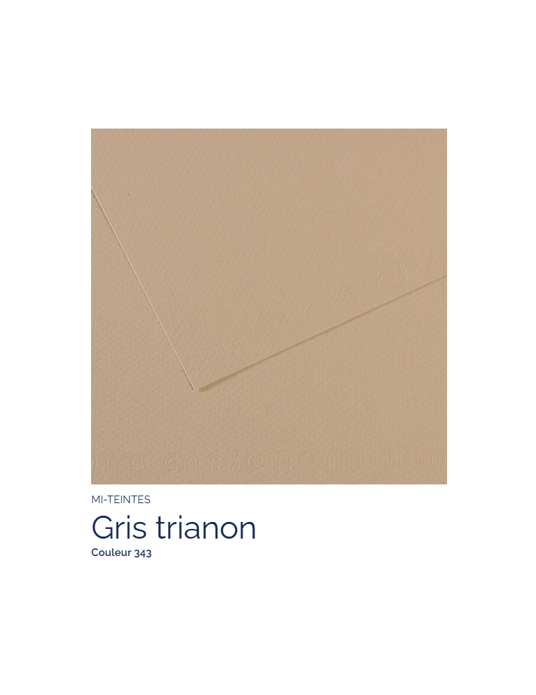 FL   MI-TEINTES®  50x65 160G  GRIS TRIANON  343