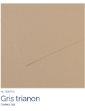 FL   MI-TEINTES®  50x65 160G  GRIS TRIANON  343