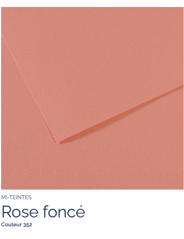FL   MI-TEINTES®  50X65 160G  ROSE FONCE  352