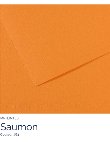 FL   MI-TEINTES®  50x65 160G  SAUMON   384