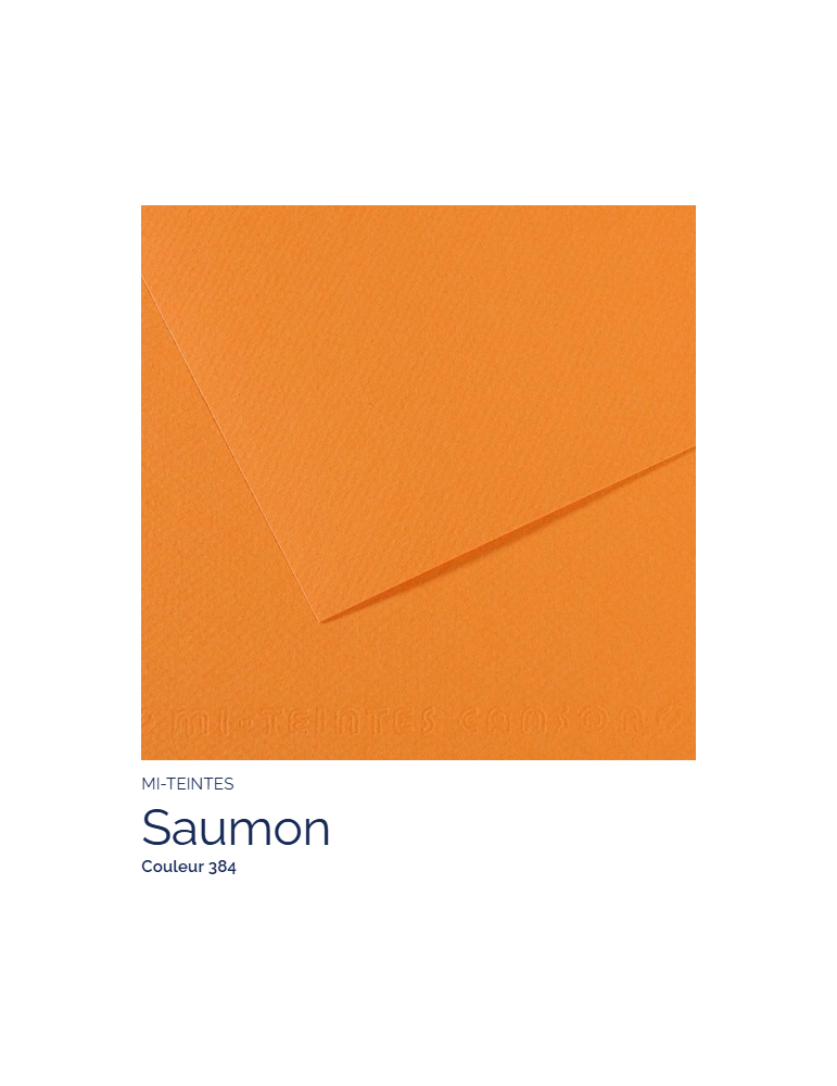 FL   MI-TEINTES®  50x65 160G  SAUMON   384