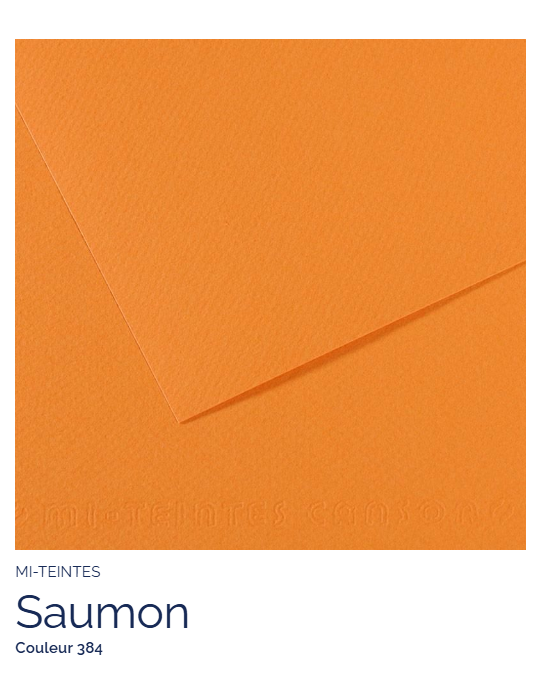 FL   MI-TEINTES®  50x65 160G  SAUMON   384