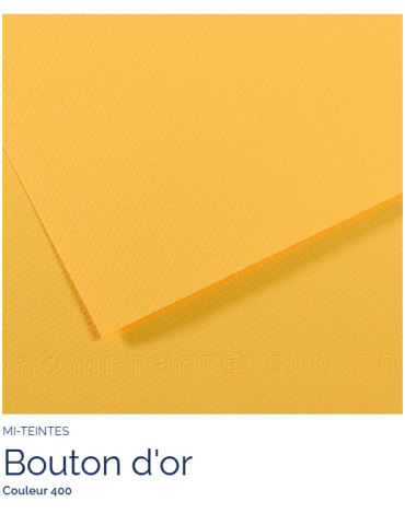 FL   MI-TEINTES®  50x65 160G  BOUTON D'OR   400