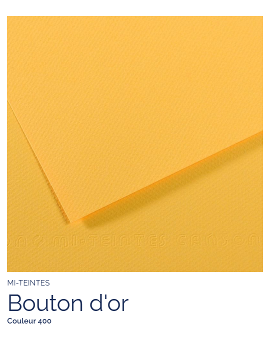 FL   MI-TEINTES®  50x65 160G  BOUTON D'OR   400