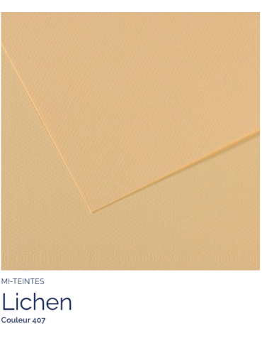 FL  MI-TEINTES®  50x65 160G  LICHEN  407