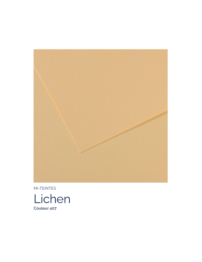 FL  MI-TEINTES®  50x65 160G  LICHEN  407