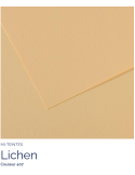 FL  MI-TEINTES®  50x65 160G  LICHEN  407