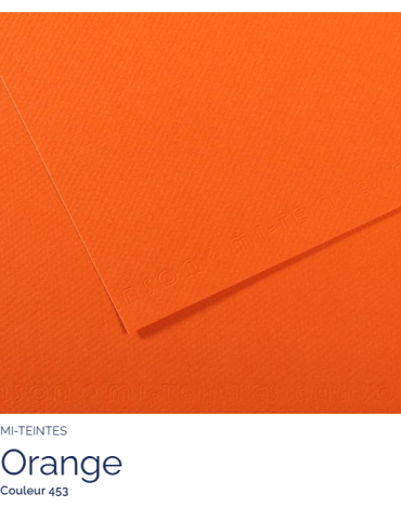 FL   MI-TEINTES®  A4 160G  ORANGE 453