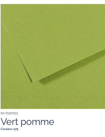 FL   MI-TEINTES®  50X65 160G  VERT POMME  475
