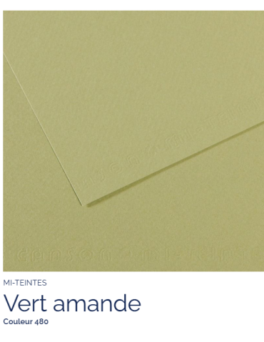 FL  MI-TEINTES®  50x65 160G  VERT AMANDE  480