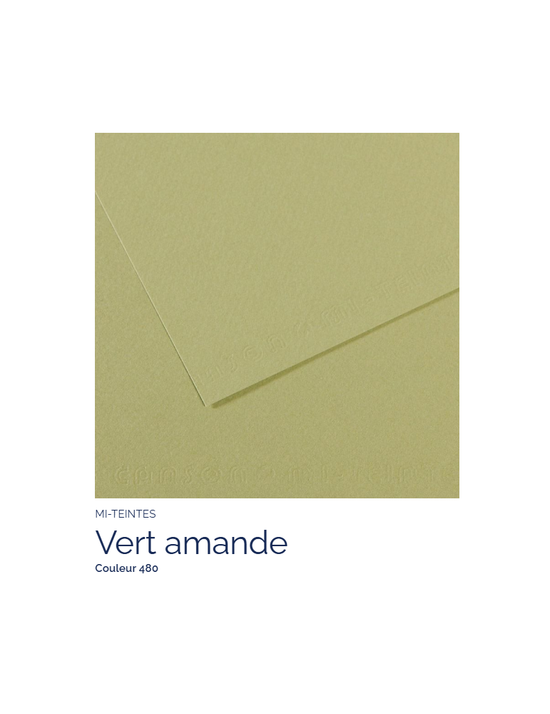 FL  MI-TEINTES®  50x65 160G  VERT AMANDE  480