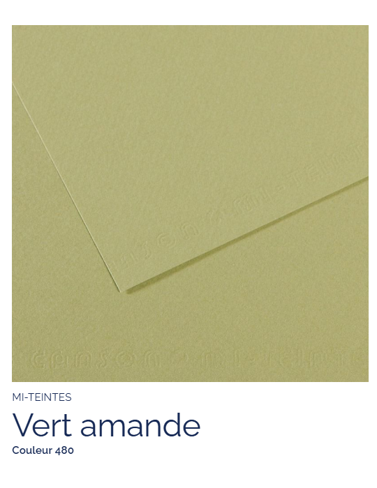 FL  MI-TEINTES®  50x65 160G  VERT AMANDE  480