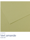 FL  MI-TEINTES®  50x65 160G  VERT AMANDE  480