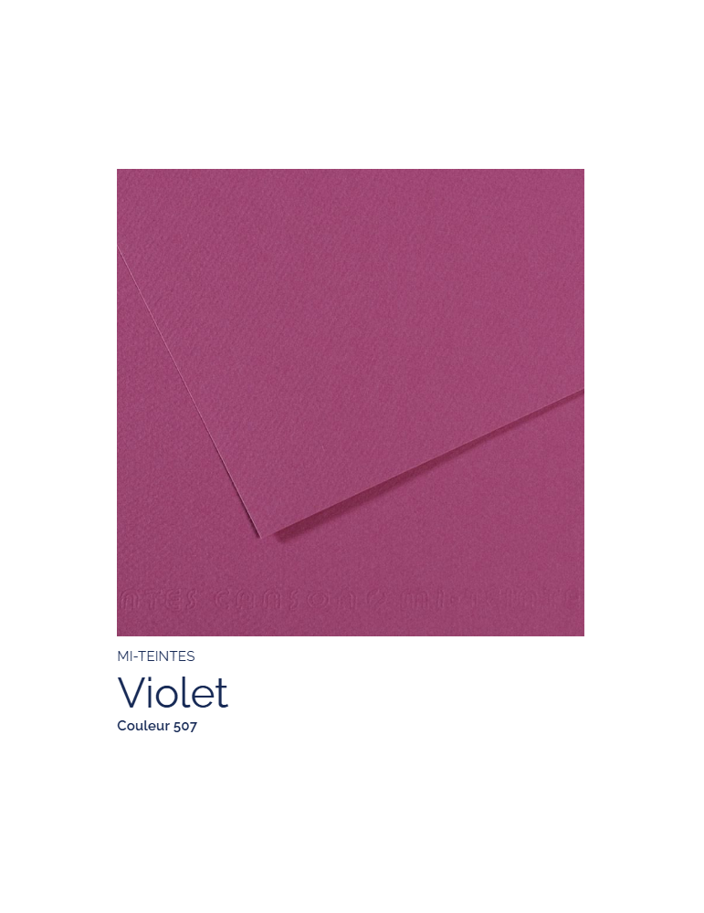 FL   MI-TEINTES® 50x65 160G  VIOLET   507