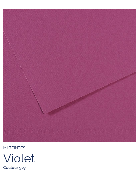 FL   MI-TEINTES® 50x65 160G  VIOLET   507