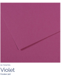 FL   MI-TEINTES® 50x65 160G  VIOLET   507