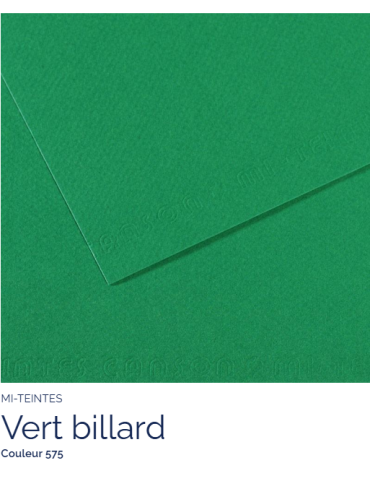 FL   MI-TEINTES®  50x65 160G  VERT BILLARD  575