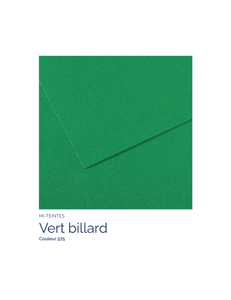 FL   MI-TEINTES®  50x65 160G  VERT BILLARD  575