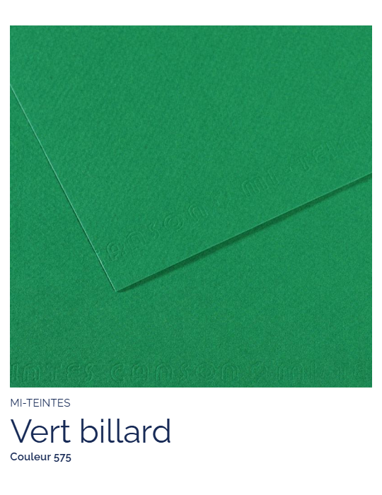 FL   MI-TEINTES®  50x65 160G  VERT BILLARD  575