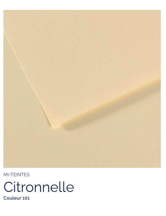 FL   MI-TEINTES®  50X65 160G  CITRONELLE  101