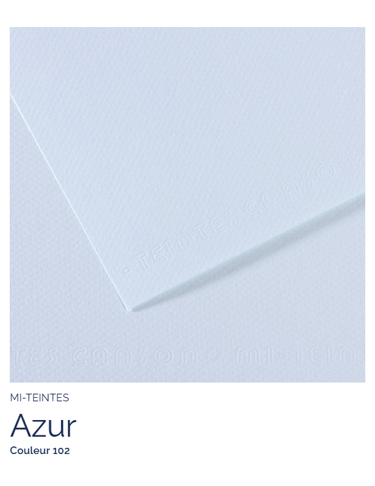 FL   MI-TEINTES®  50X65 160G  AZUR 102