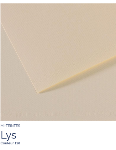 FL   MI-TEINTES®  50X65 160G  LYS   110