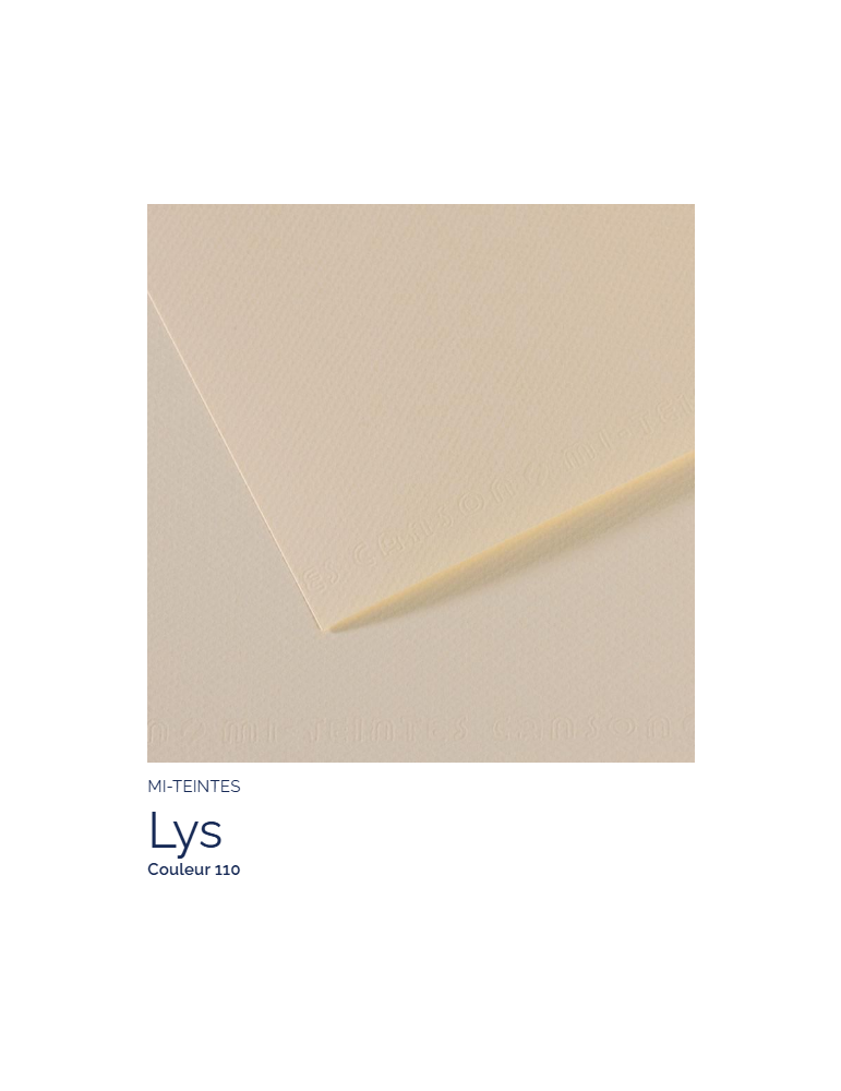 FL   MI-TEINTES®  50X65 160G  LYS   110