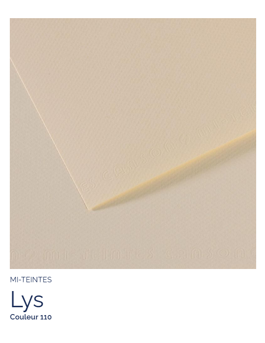 FL   MI-TEINTES®  50X65 160G  LYS   110