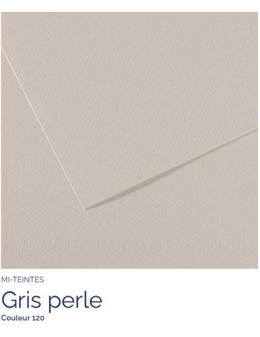 FL   MI-TEINTES®  50x65 160G  GRIS PERLE  120