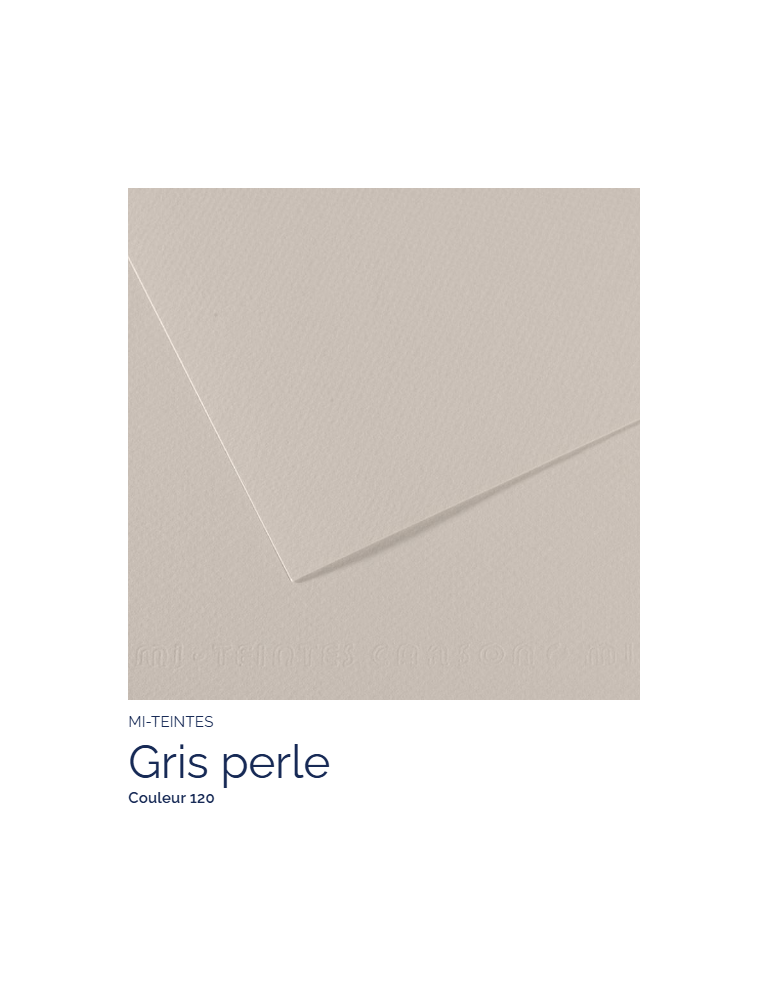 FL   MI-TEINTES®  50x65 160G  GRIS PERLE  120