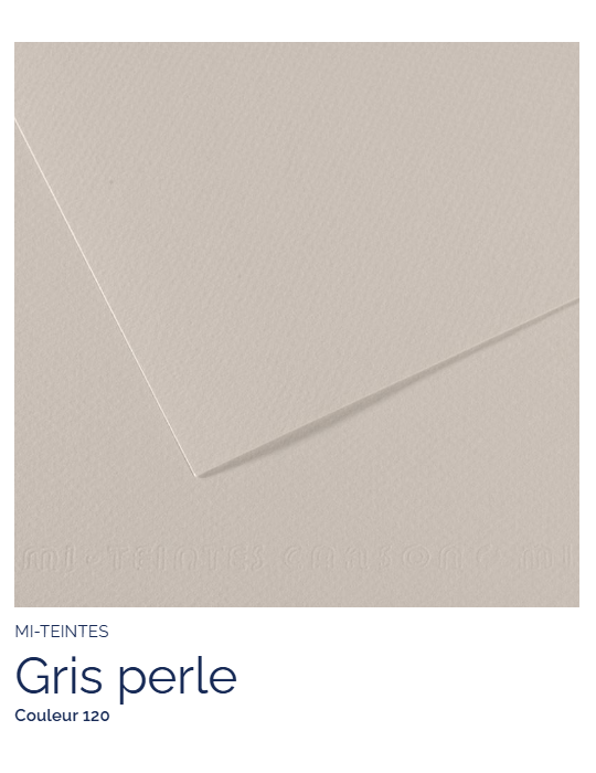 FL   MI-TEINTES®  50x65 160G  GRIS PERLE  120