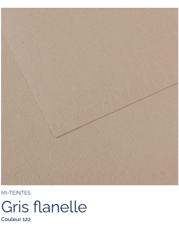 FEUILLE   MI-TEINTES®  50x65 160G  GRIS FLANELLE  122