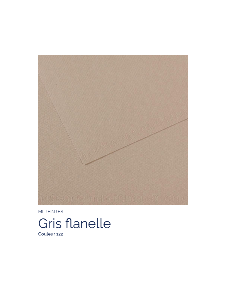 FEUILLE   MI-TEINTES®  50x65 160G  GRIS FLANELLE  122