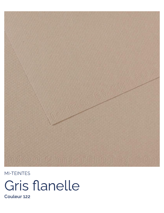 FEUILLE   MI-TEINTES®  50x65 160G  GRIS FLANELLE  122