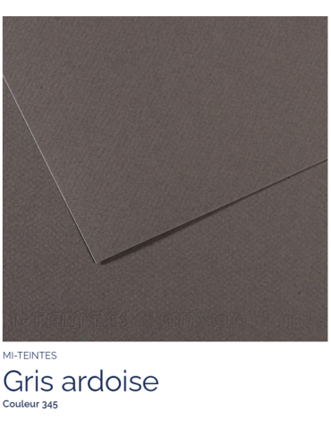 FEUILLE   MI-TEINTES®  50x65 160G  GRIS ARDOISE  345
