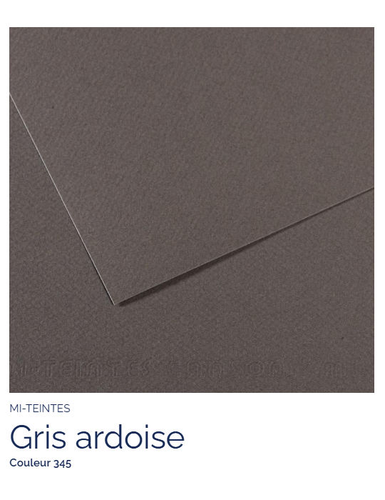 FEUILLE   MI-TEINTES®  50x65 160G  GRIS ARDOISE  345