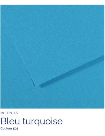 FL   MI-TEINTES®  50X65 160G  BLEU TURQUOISE 595