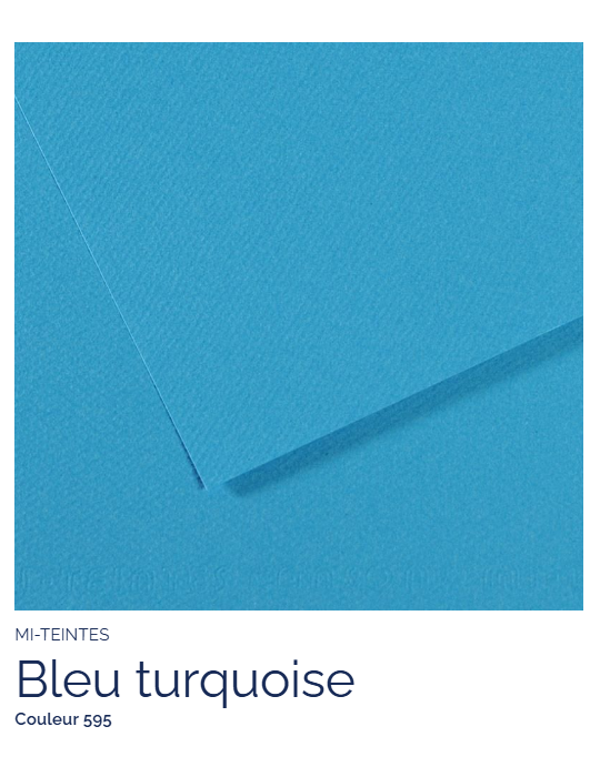 FL   MI-TEINTES®  50X65 160G  BLEU TURQUOISE 595