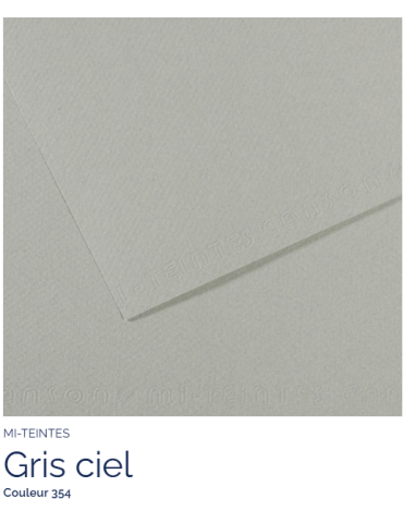 FL   MI-TEINTES®  50x65 160G  GRIS CIEL  354