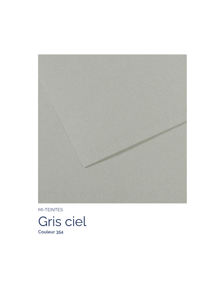 FL   MI-TEINTES®  50x65 160G  GRIS CIEL  354