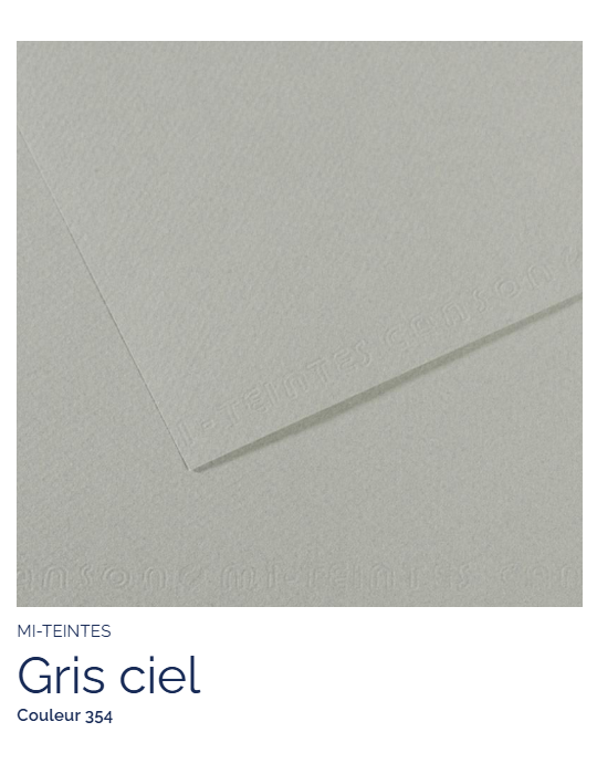 FL   MI-TEINTES®  50x65 160G  GRIS CIEL  354